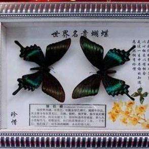 v2-76e2a2a8c1be088ed7c8f7320dee92d5_qhd.jpg