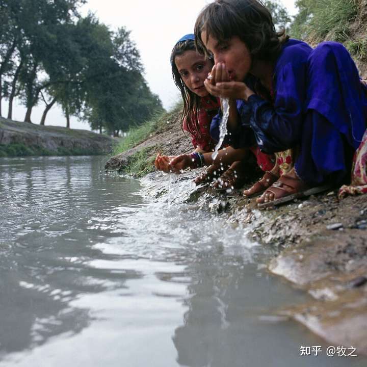 野生動物直接喝渾濁的髒水都沒事,為什麼人類不行?