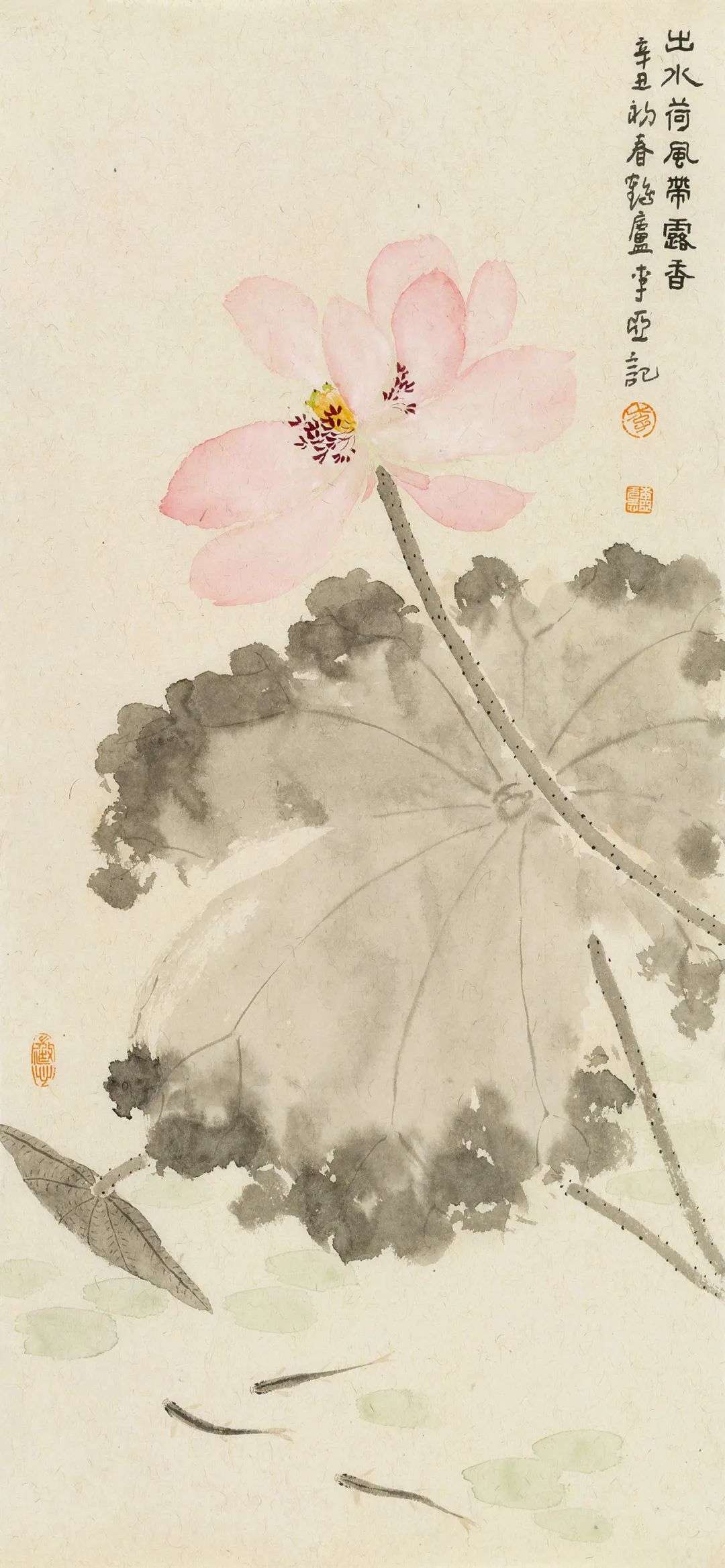 ますいわや 正絹 あわせの小紋 鬼しぼちりめん 花から草 落款