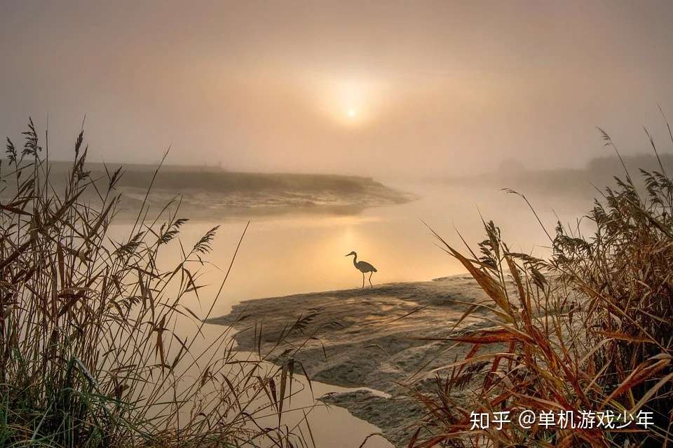 北上 一定是特别的缘分 知乎