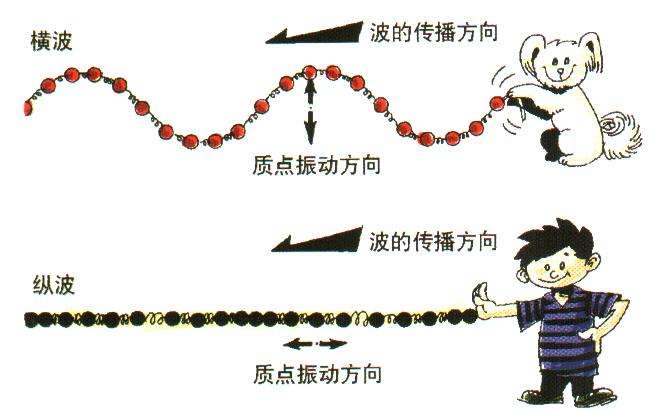 橫波縱波的區別是什麼老師講的聽不太懂而且求深入