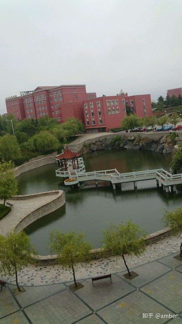青岛滨海学院的电子商务专业怎么样师资力量如何