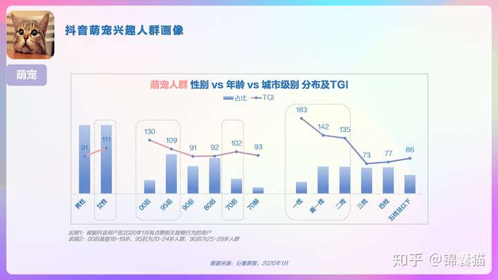 2020抖音用户画像分析