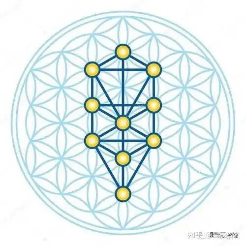 死亡之花和生命之花的区别(图2)