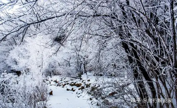 辽宁本溪水帘洞奇特风景，比水墨画还美，游玩之人无不称赞！