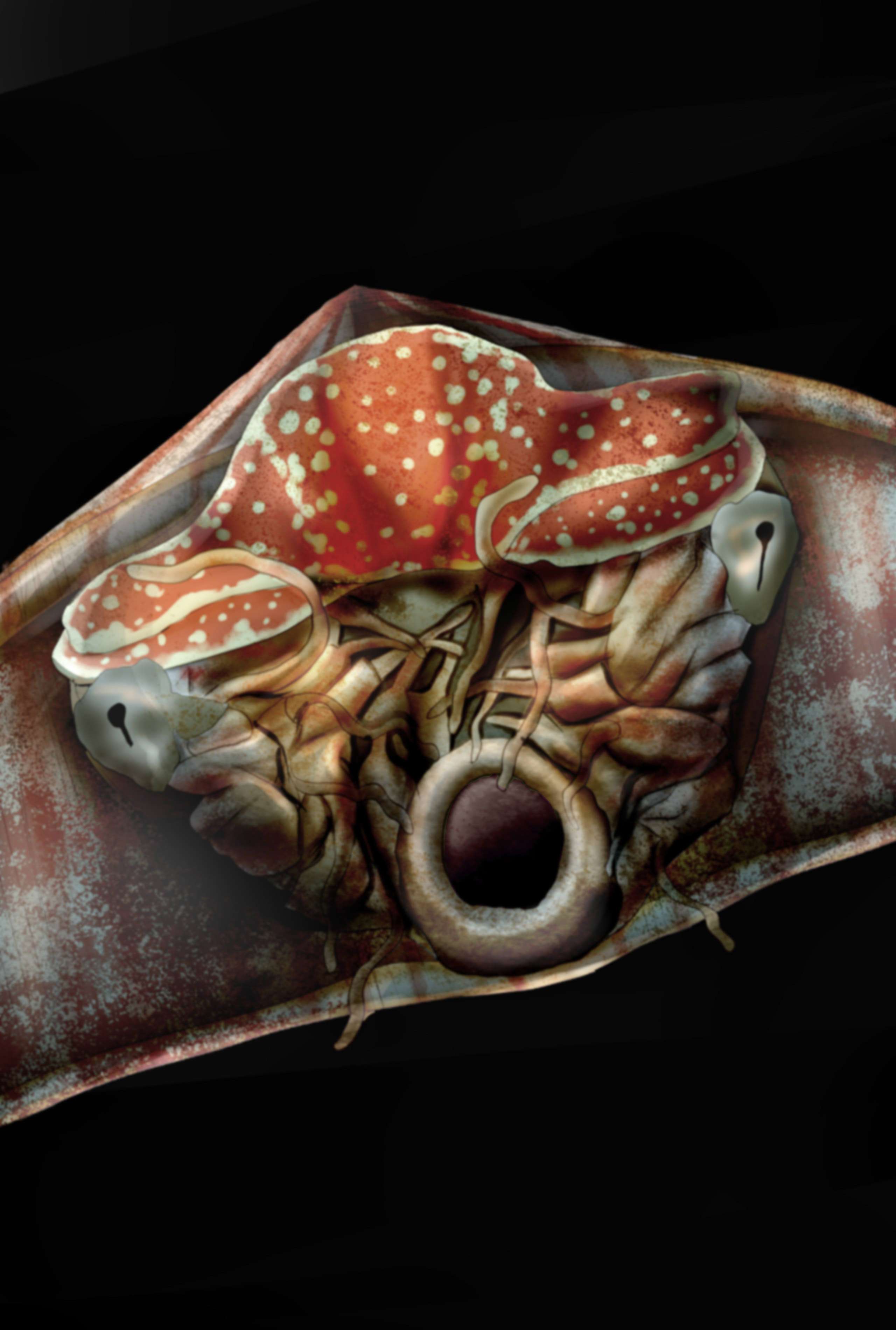 珠角石画的跟米共一样