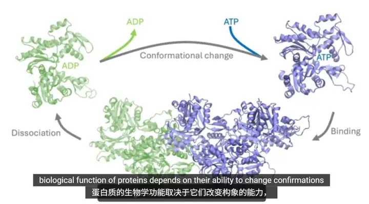 AI破译生命！微软蛋白质研究「超级加速器」登上Science