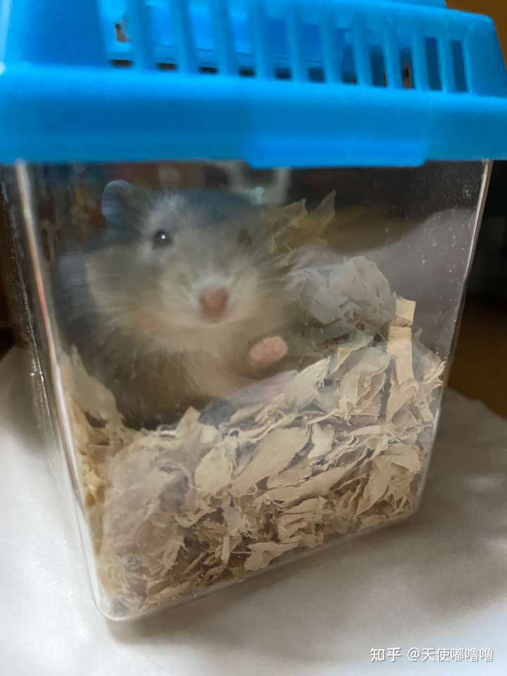 这是他刚来的第一天