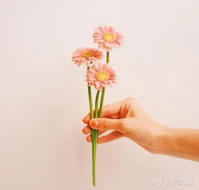 2021端午节祝福语，简短温馨，节日快乐！