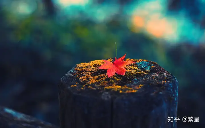 大佬告訴你軟件測(cè)試工程師是如何從功能測(cè)試轉(zhuǎn)成自動(dòng)化測(cè)試的？插圖4