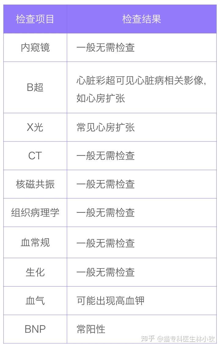 猫动脉血栓2.0  后肢瘫痪、腿脚发凉、脚垫发紫、疼痛嚎叫，基本是心脏 