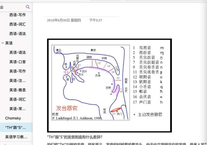 英语零基础 有什么自学方法 知乎