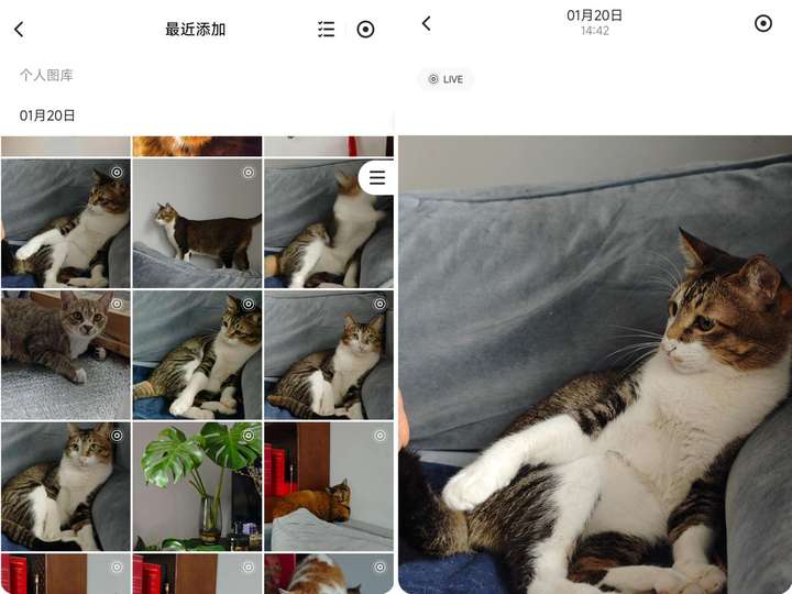 不好等失去，才拍住心口说买个NAS，未雨绸缪想到立马买才是王道