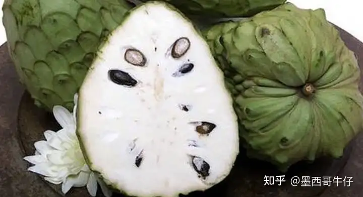 墨西哥常见水果释迦果（Chirimoya） - 墨华网 (图2)