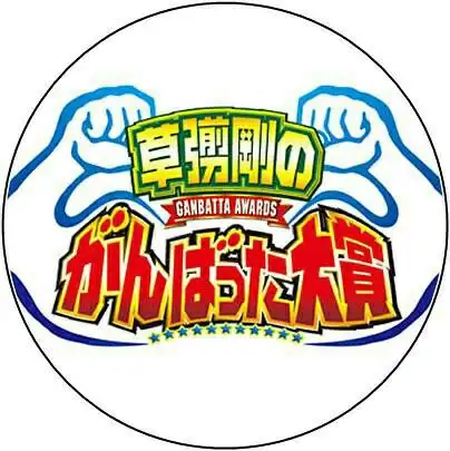 有什么好看的日本综艺节目