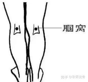 膝盖淋巴结位置图图片