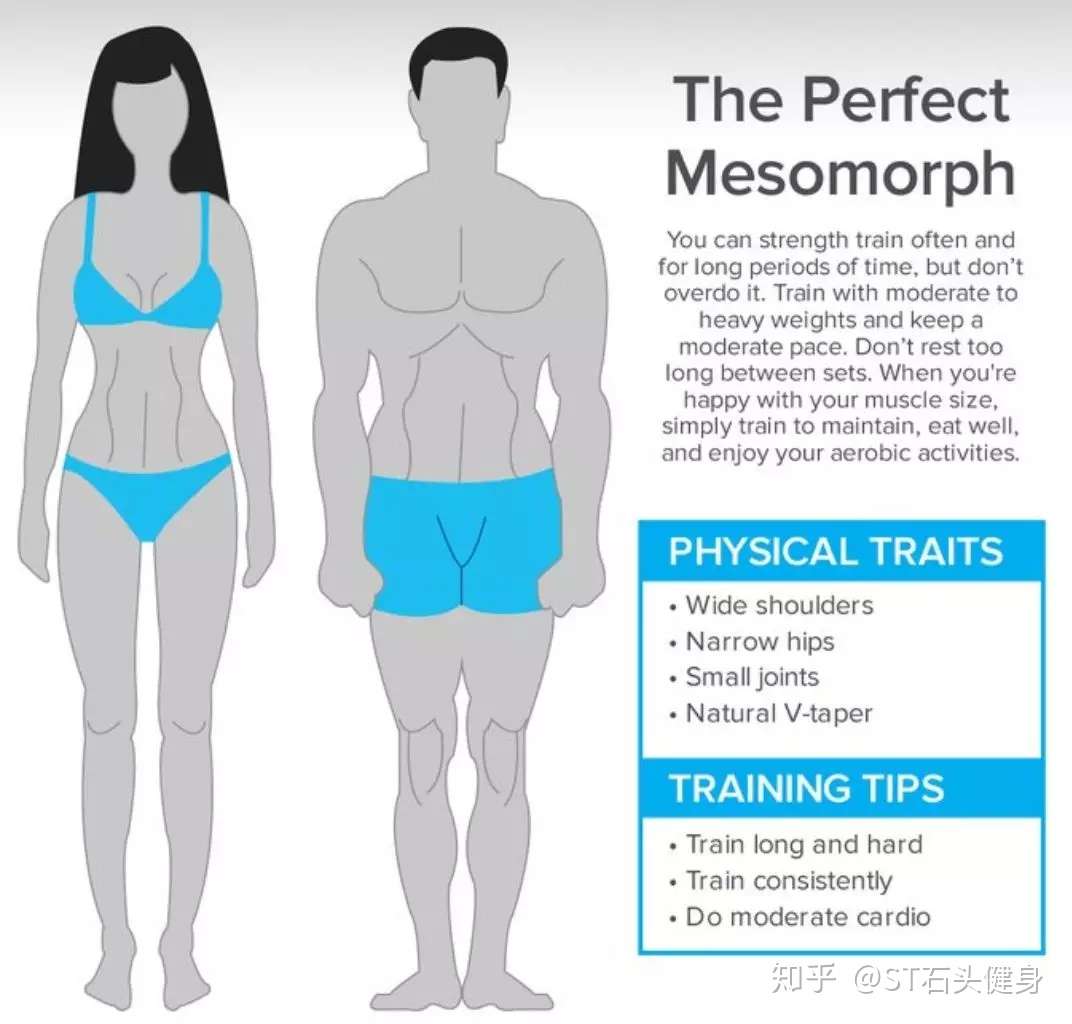针对不同体型的训练方案 知乎