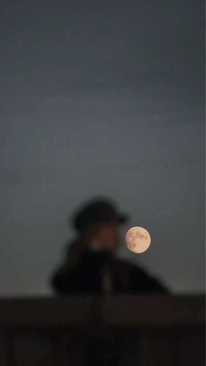 表达回不到从前了,分手隐晦文案:插图12 表达回不到从前了,分手隐晦文案:插图12