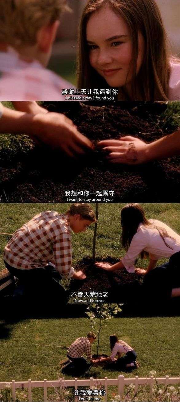 《怦然心动》