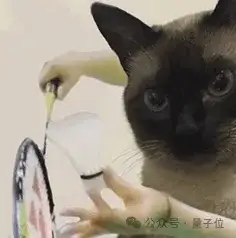 机器狗能当羽毛球搭子了！仅靠强化学习从0自学，还涌现出类人回位行为 | Science子刊