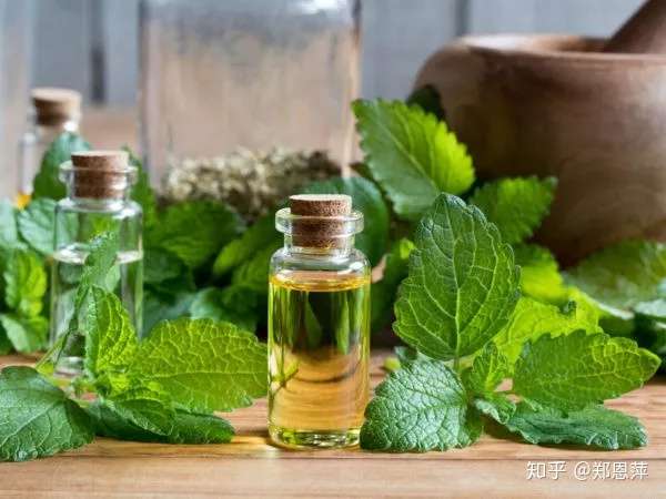植识库 香蜂草精油的9种益处及5种实用配方 知乎