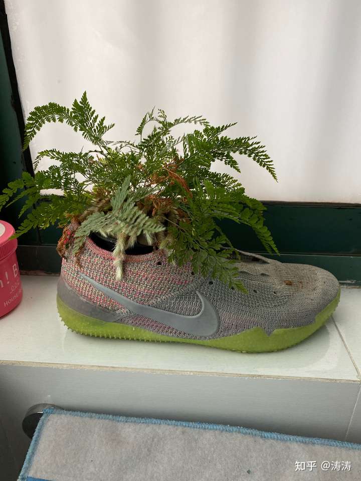 可以修  2修不好可以做盆栽的花盆