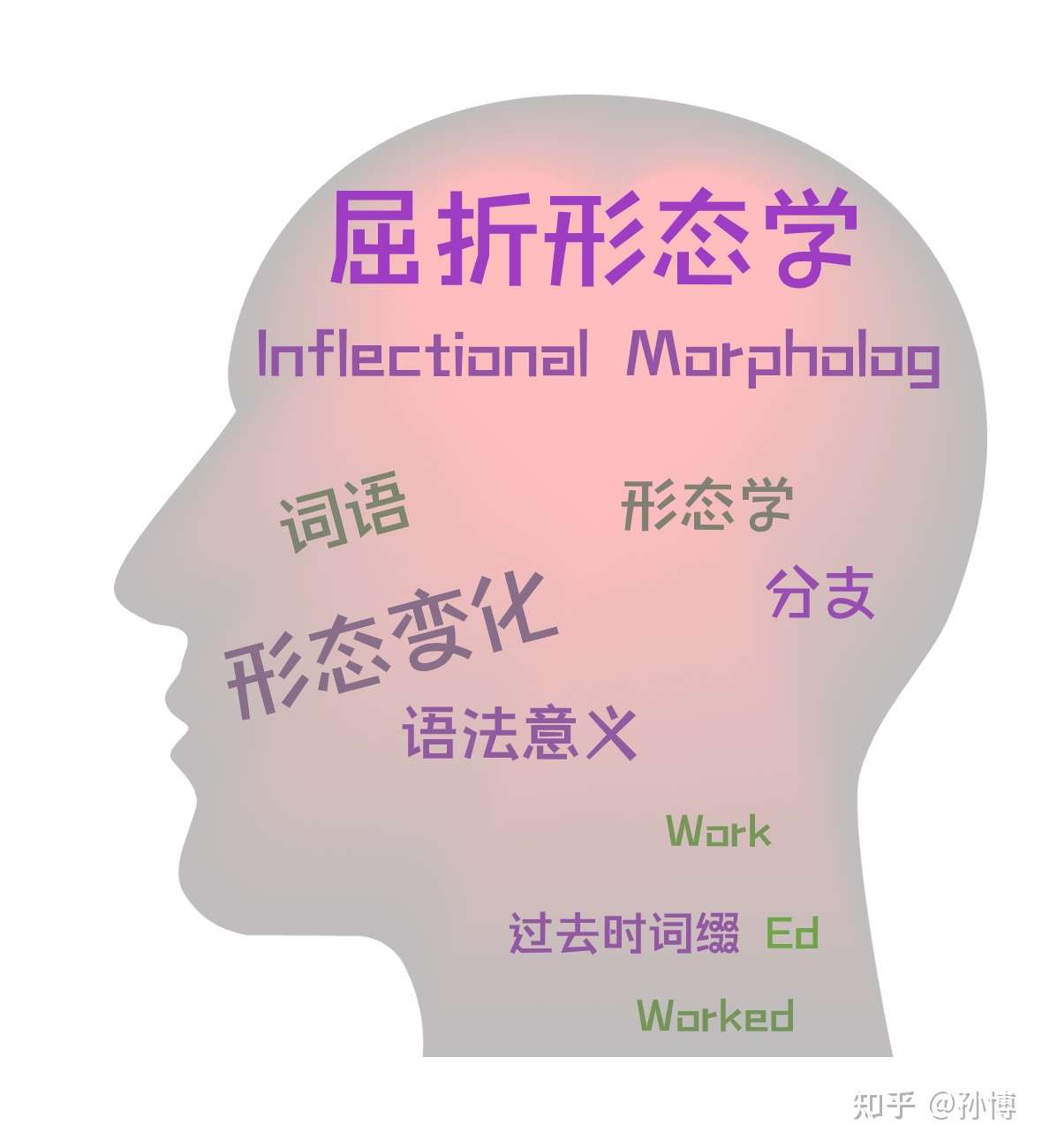 孙博 的想法: #语言学名词# 屈折形态学(inflectional … - 知乎