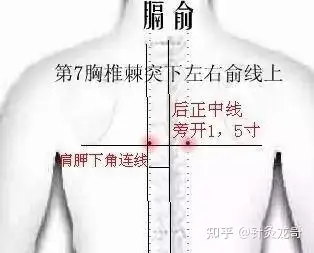 膈俞是膀胱經穴位為什麼是治療血病的要穴