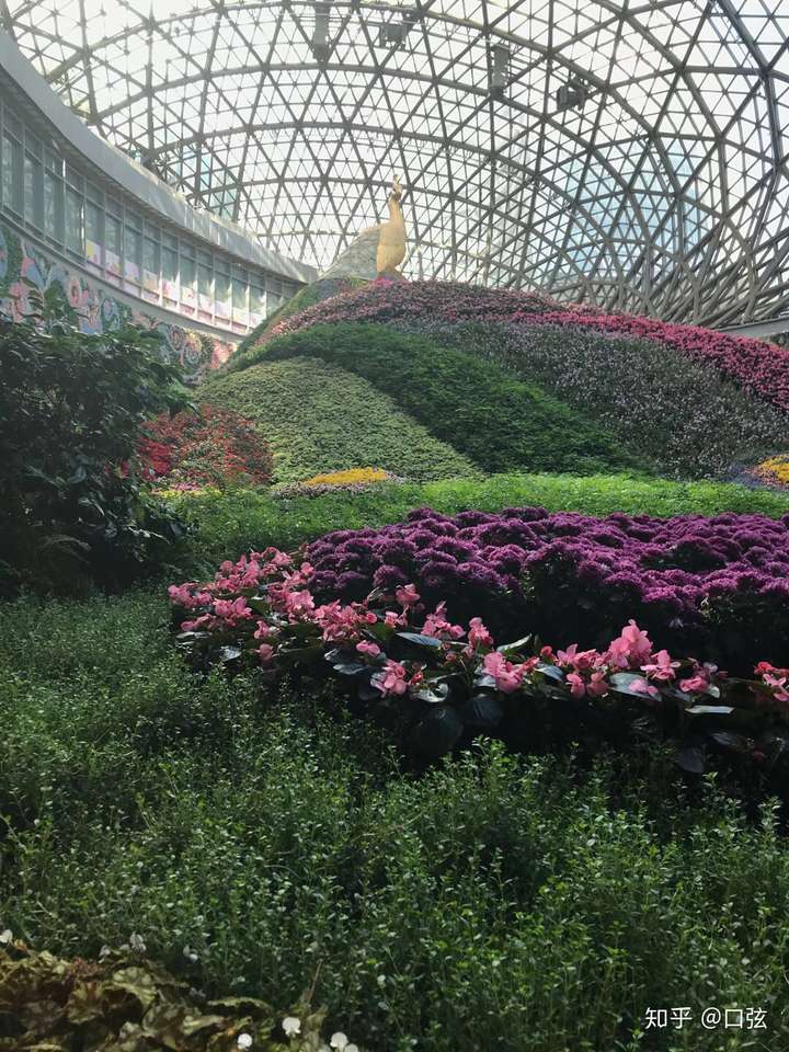 昆明花之城怎么样?