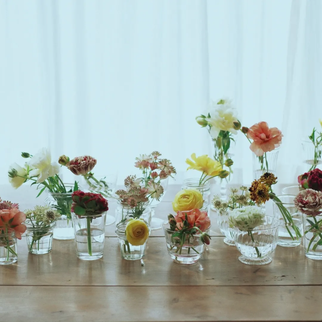 你见与不见 东京的樱花就在那里 知乎