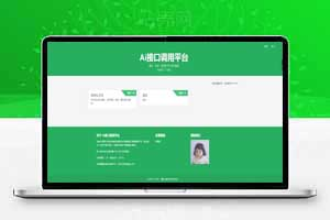 API管理系统平台源码  带后台