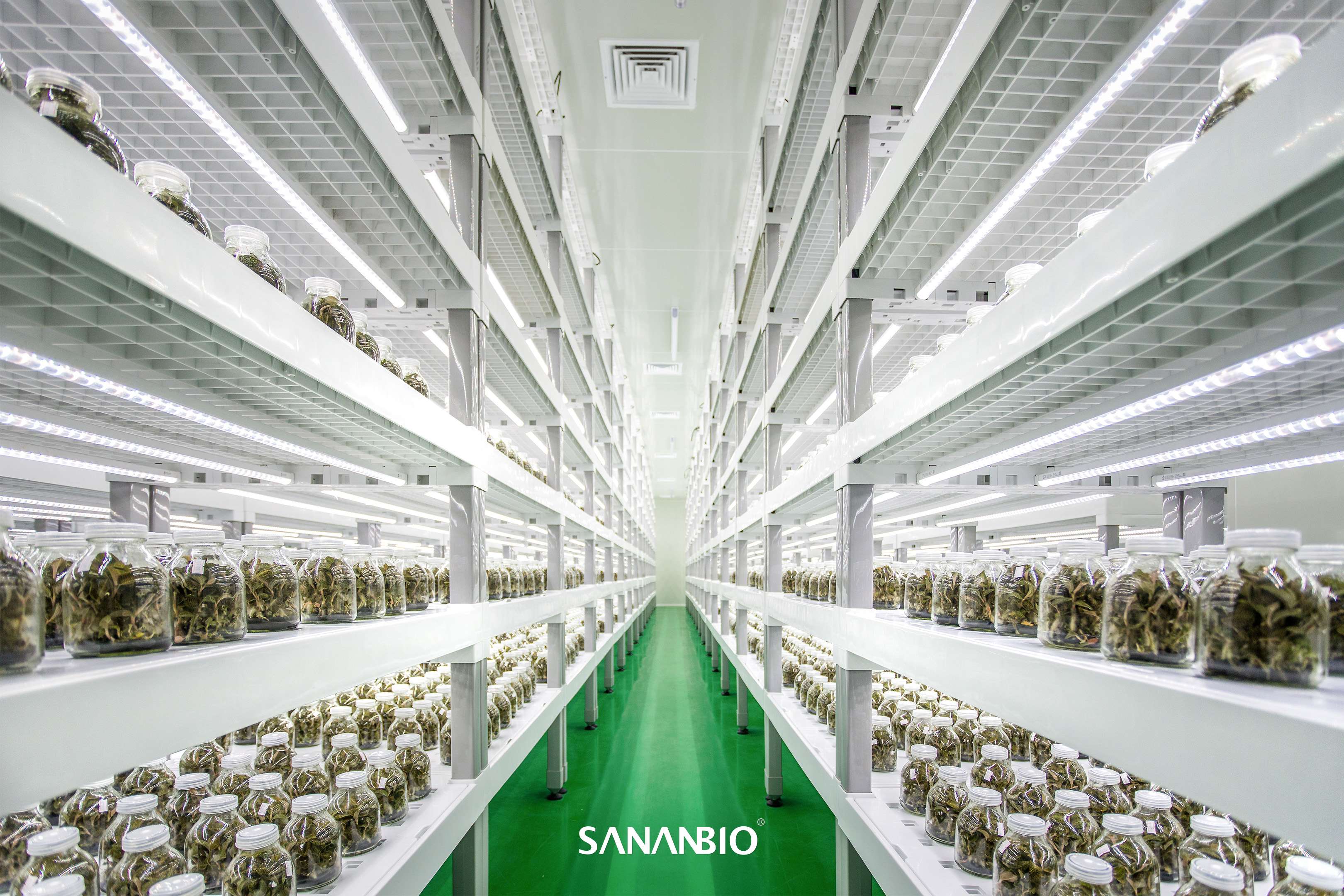 中科三安植物工厂 的想法: #中科三安# #植物工厂# #radix可以种更多