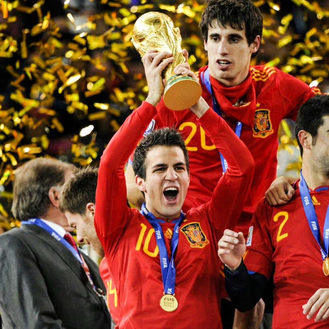 非主流足球 的想法: 小法挂靴 | 西班牙中场法布雷加斯近日宣