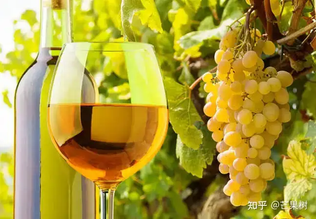 白葡萄酒什么品牌好，推薦白葡萄酒十大品牌排行榜排名