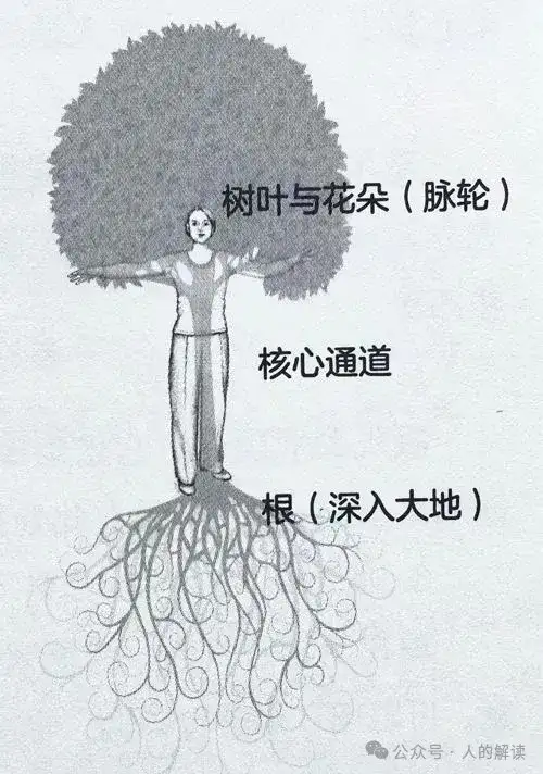 扎根大地汲取地球能量的方法就这么简单-人的解读