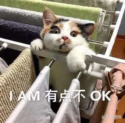 同学脸上长了一根长长的白毛,shi活不让我拔!请问这个是什么?