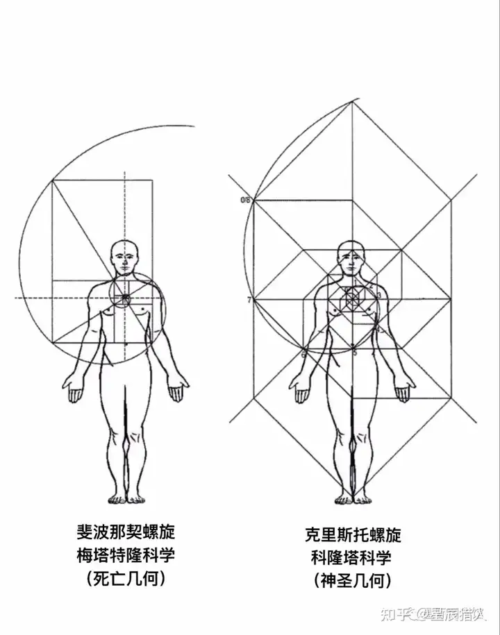 死亡之花和生命之花的区别(图32)