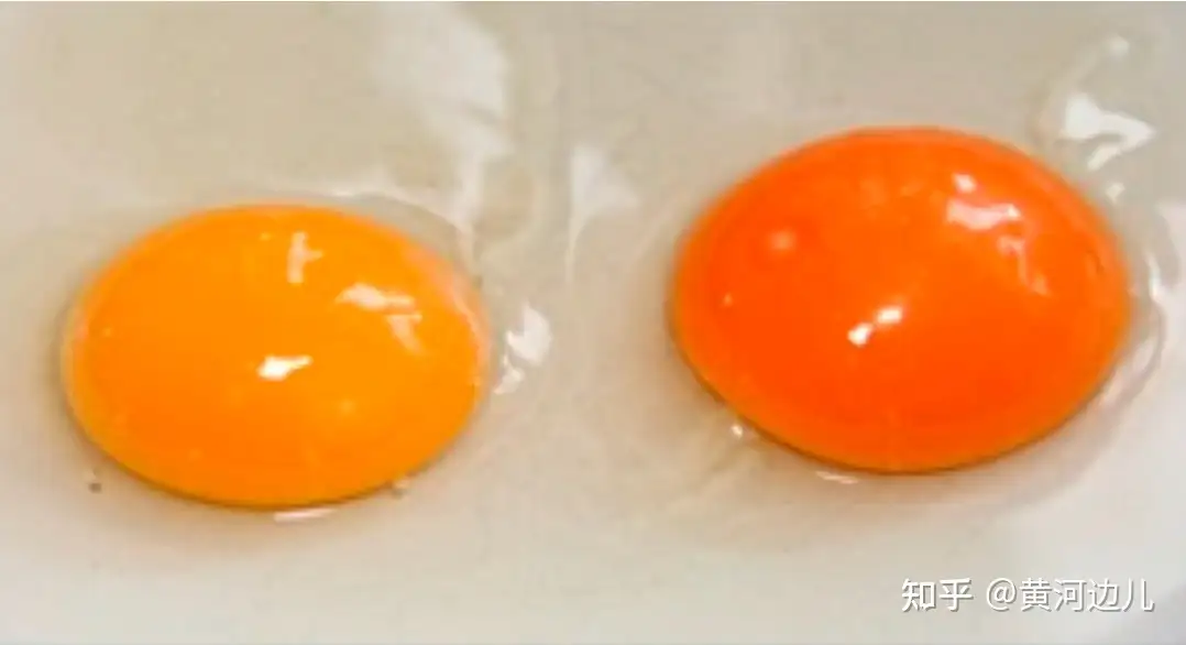 胖东来回应「散养鸡蛋被曝角黄素超标」，称适用标准错误，真是这样吗？角黄素超标会有哪些危害？