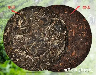 2023好喝的普洱茶推荐？普洱茶买熟茶还是生茶？大益/下关/中茶/陈升号