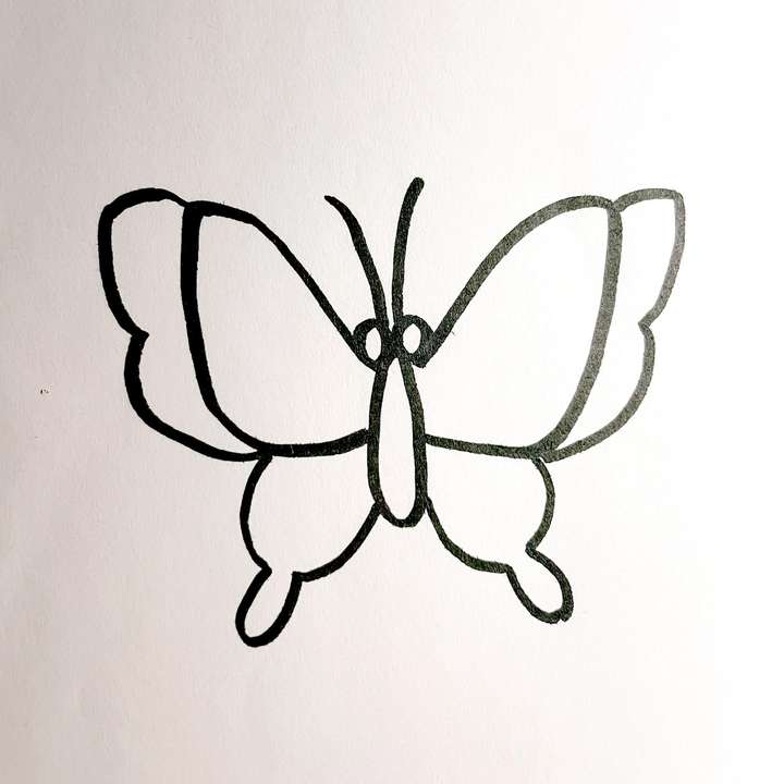 蝴蝶画法简笔画 可爱图片