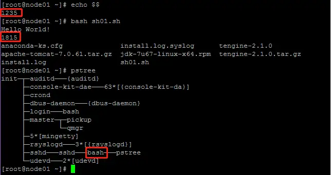 Shell编程之bash 知乎