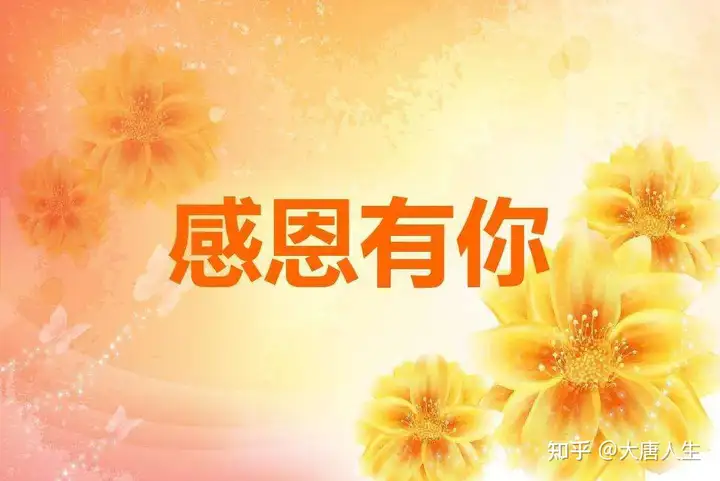 今日感恩节，经典的感恩语句，句句入心！感恩节快乐！