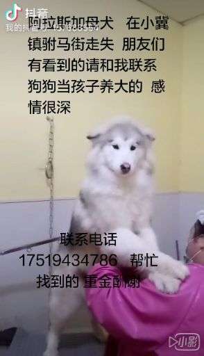 v2-828708fc0b223a8953569534e4b33855_720w.jpg?source=1940ef5c