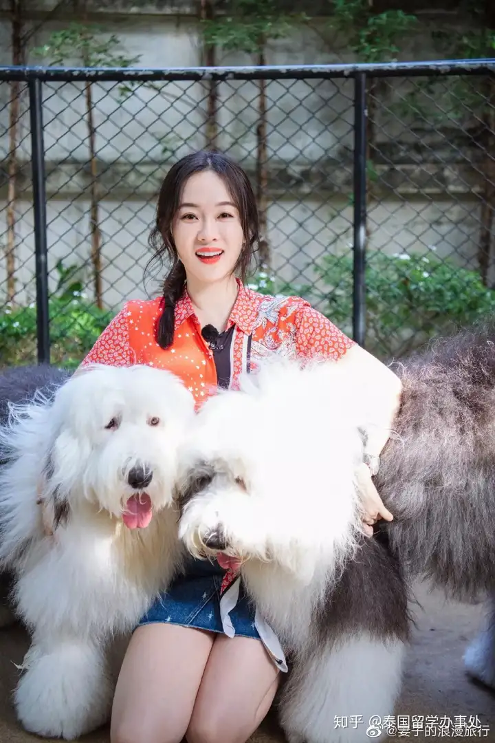 一篇读懂(妻子的浪漫旅行泰国打脸视频播放)妻子的浪漫旅行泰国打脸视频全集2023已更新 第22张