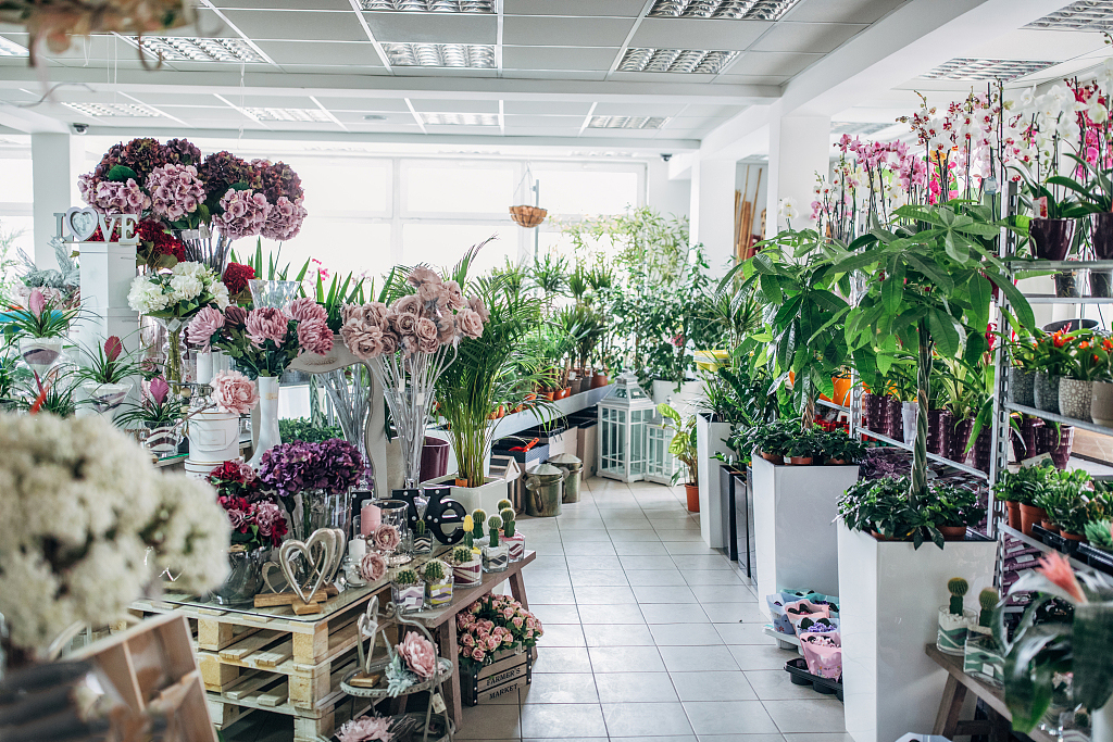 如何开好一家花店 开花店前期准备攻略 知乎