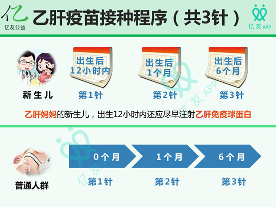 乙肝疫苗 0/1/6 到底是怎么打?