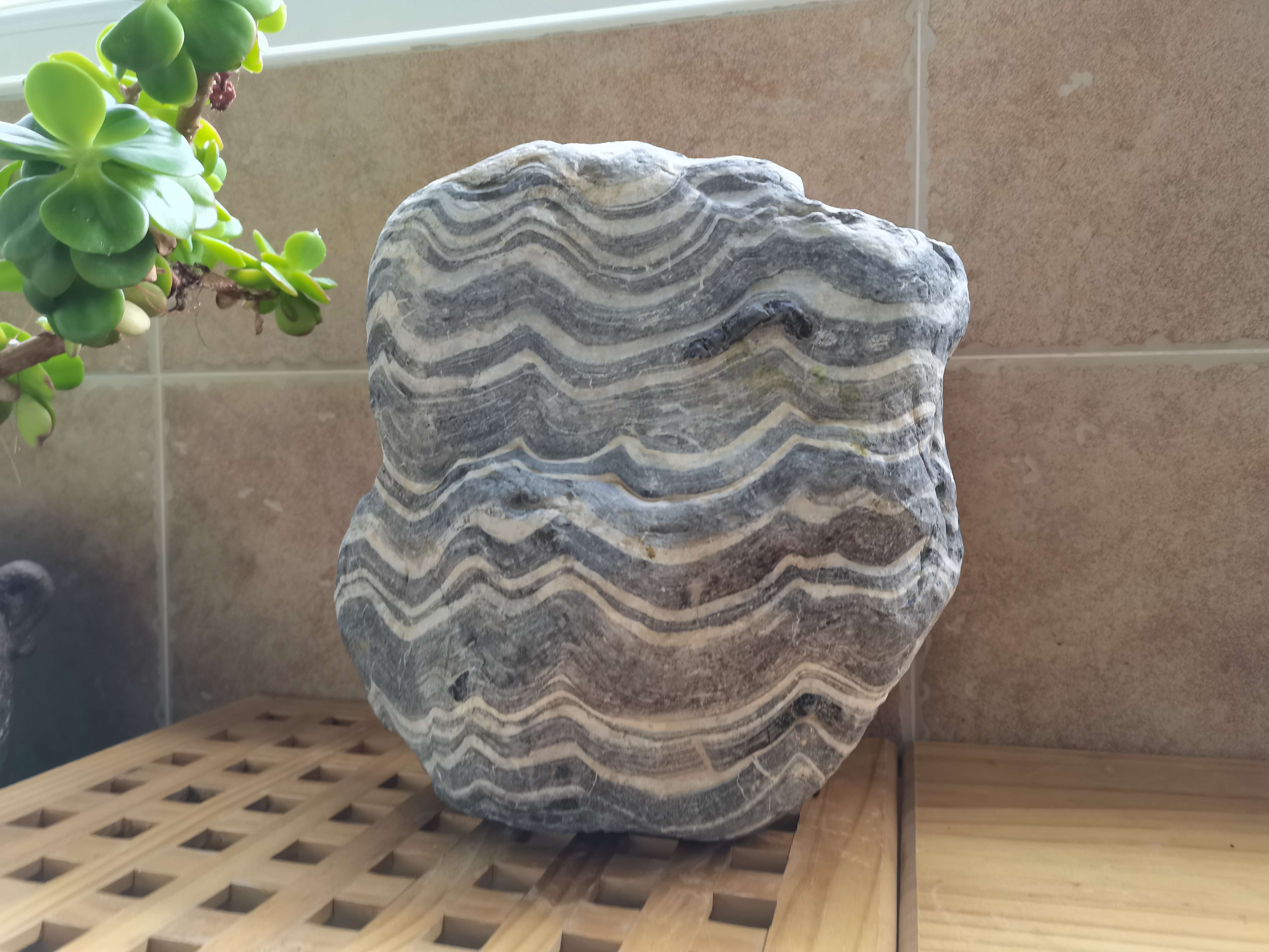 东溪散人 的想法: 外出游玩,路边偶得一块卷纹石,纹理似波… - 知乎