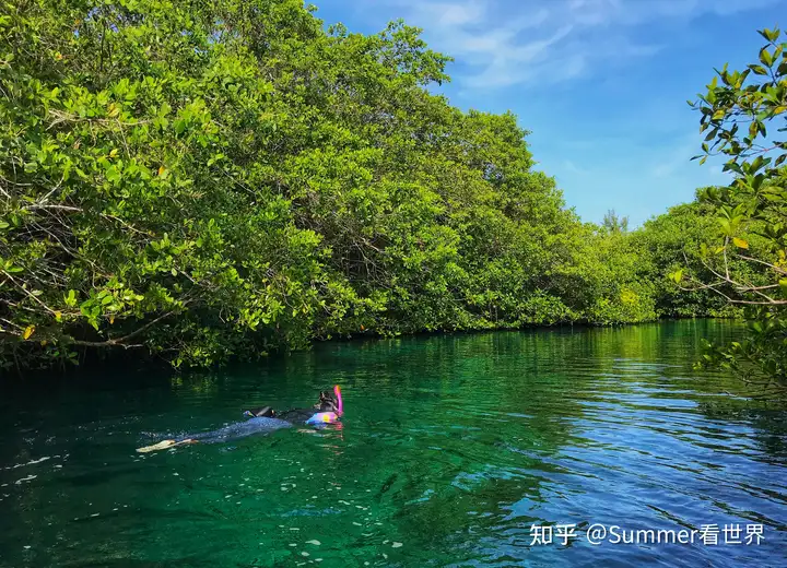 想去墨西哥坎昆玩，遍地的遗址和6000多个天坑(cenote - 墨华网 (图17)