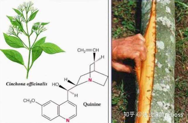 化工史话43 最初的合成染料 从苯胺到苯胺紫 知乎