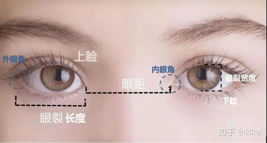 顕微鏡下眼形成手術 = OCULOPLASTIC SURGERY THROUG… clinicacampinas